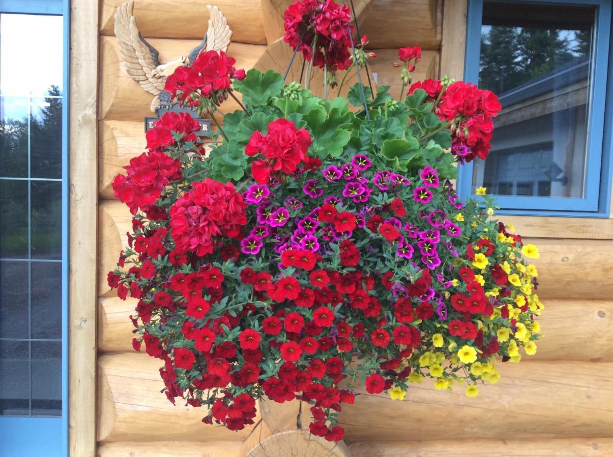 Little Black Bear Lodge/B&B Bridge Lake 외부 사진