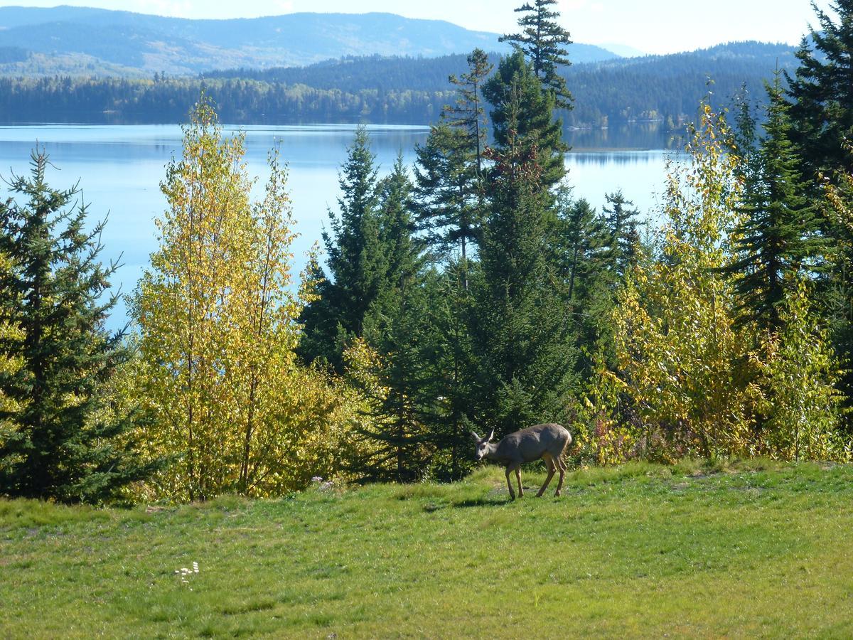 Little Black Bear Lodge/B&B Bridge Lake 외부 사진