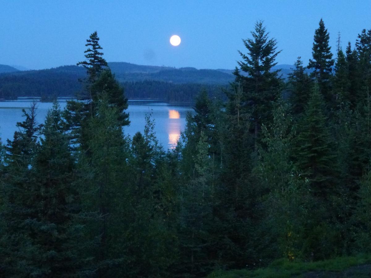 Little Black Bear Lodge/B&B Bridge Lake 외부 사진