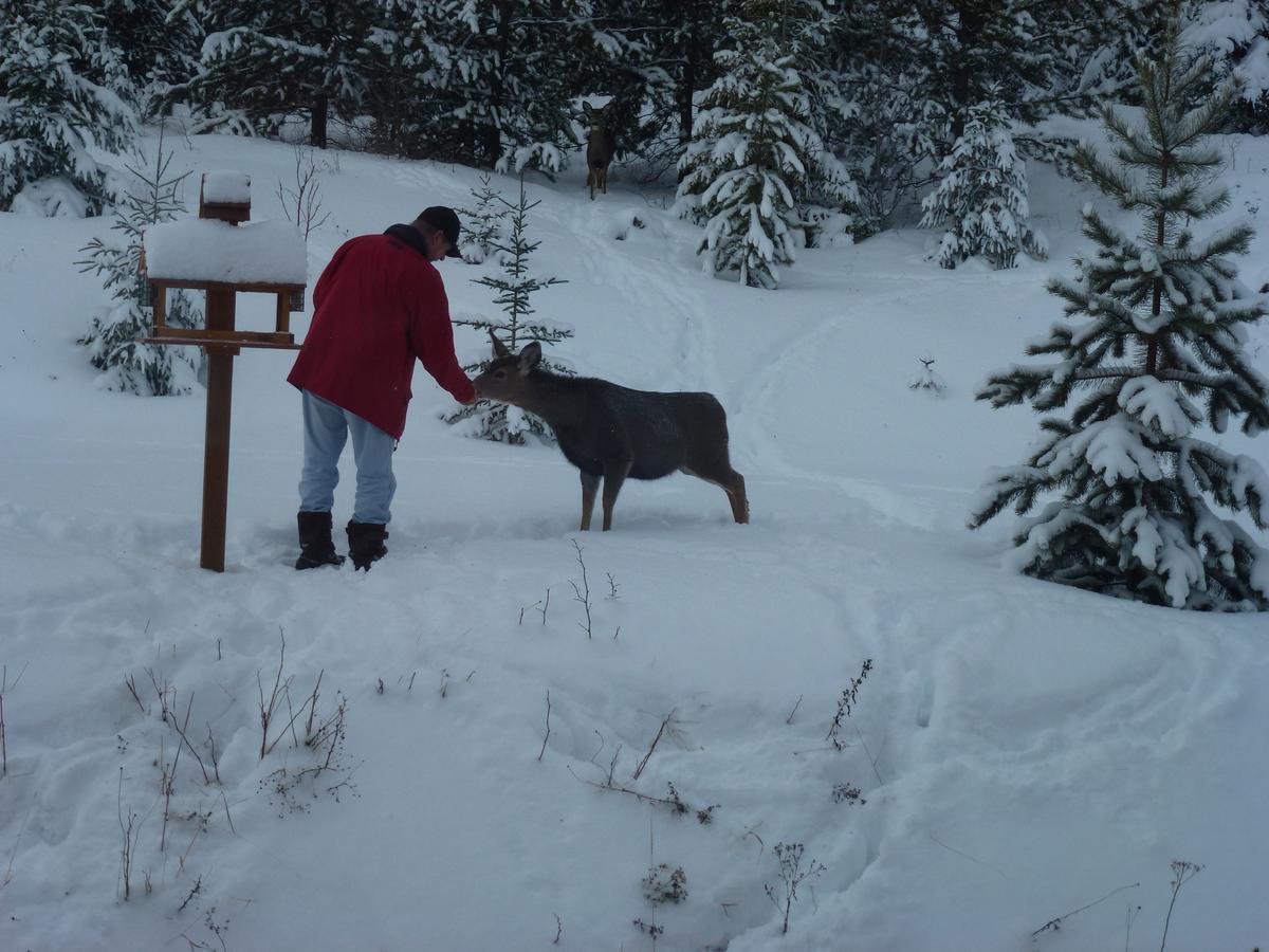 Little Black Bear Lodge/B&B Bridge Lake 외부 사진