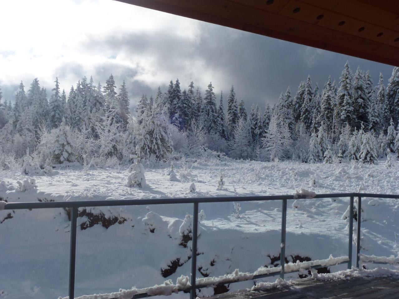 Little Black Bear Lodge/B&B Bridge Lake 외부 사진