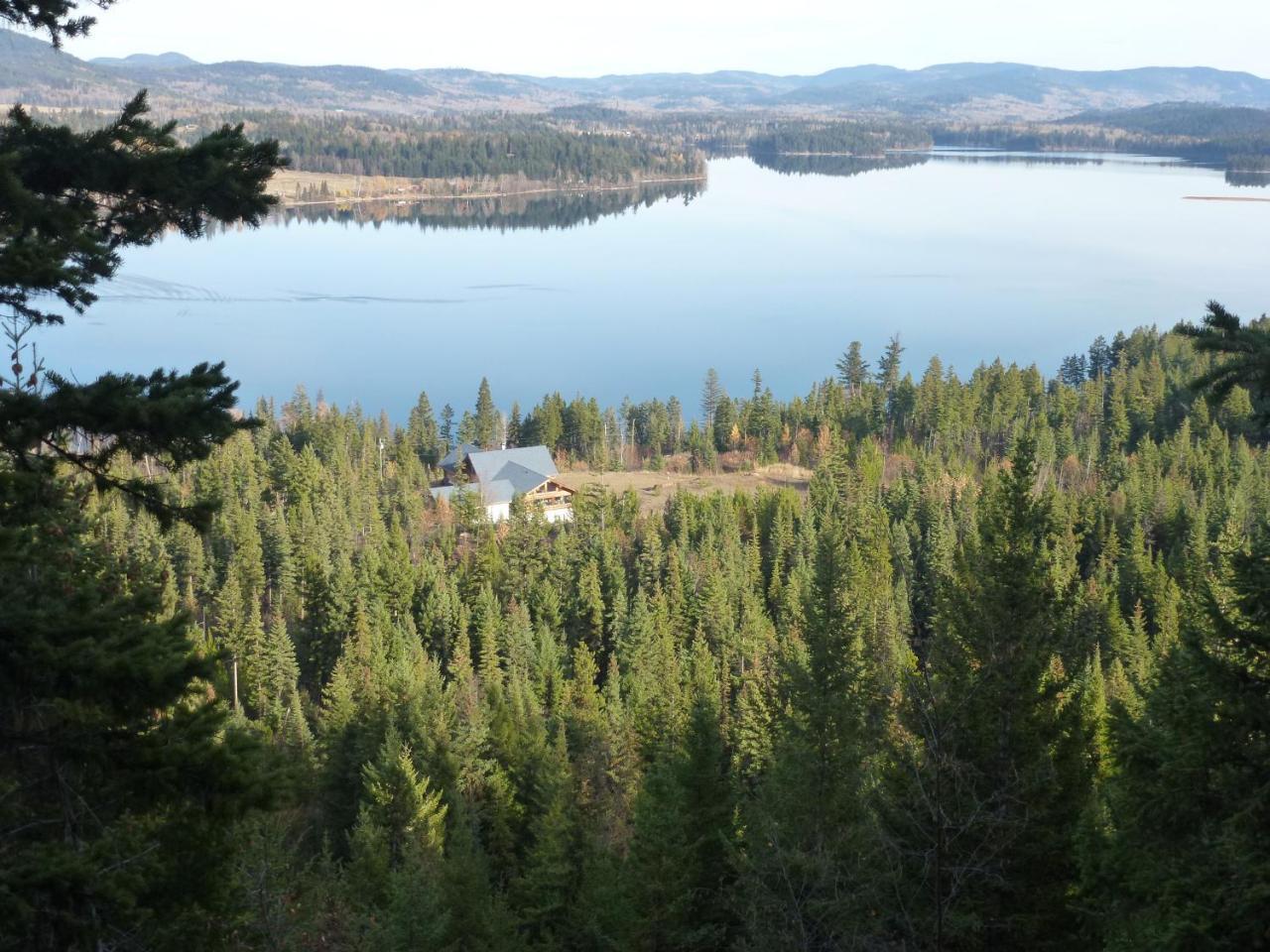 Little Black Bear Lodge/B&B Bridge Lake 외부 사진